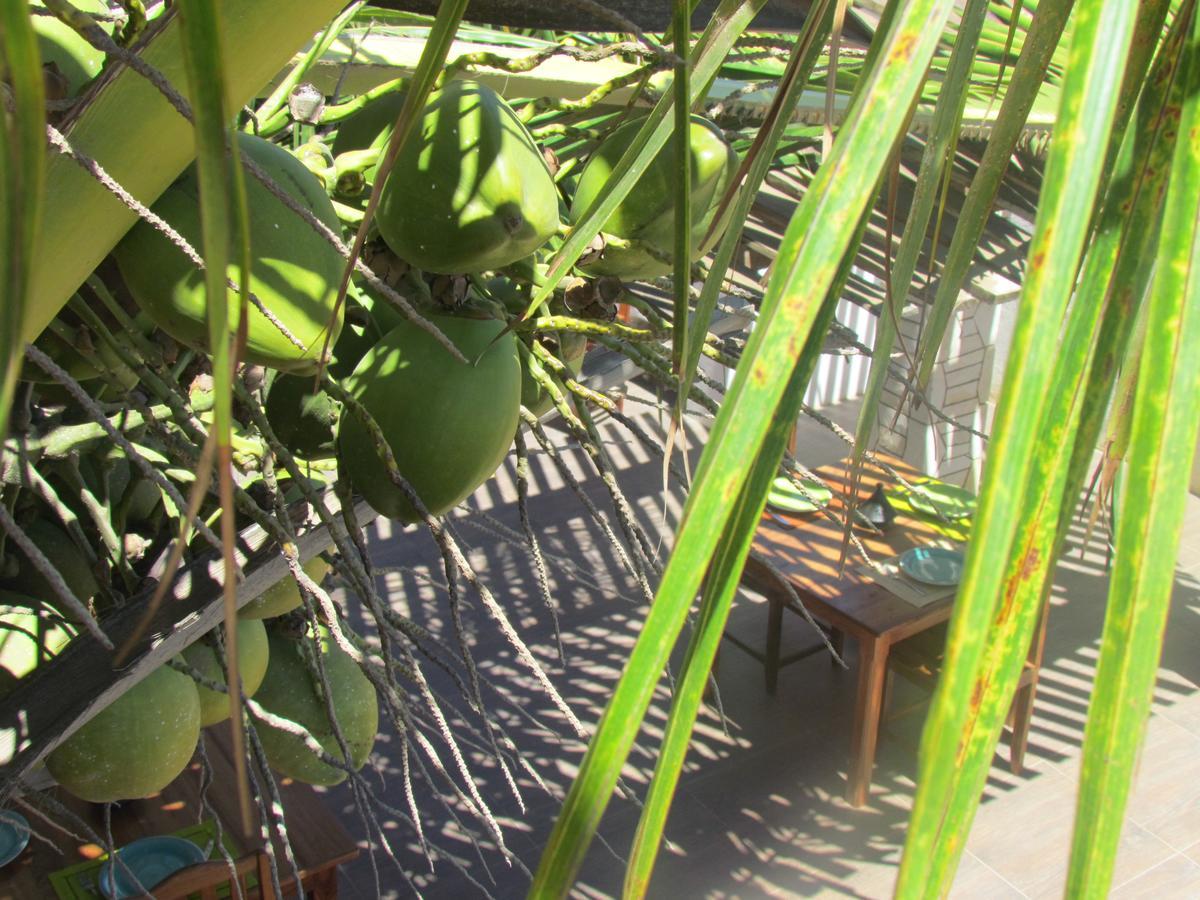 Bohobe Naboty Bed & Breakfast โตเลียรา ภายนอก รูปภาพ